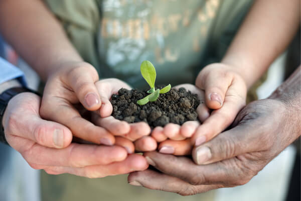 Multi generational hands holding dirt with seedling